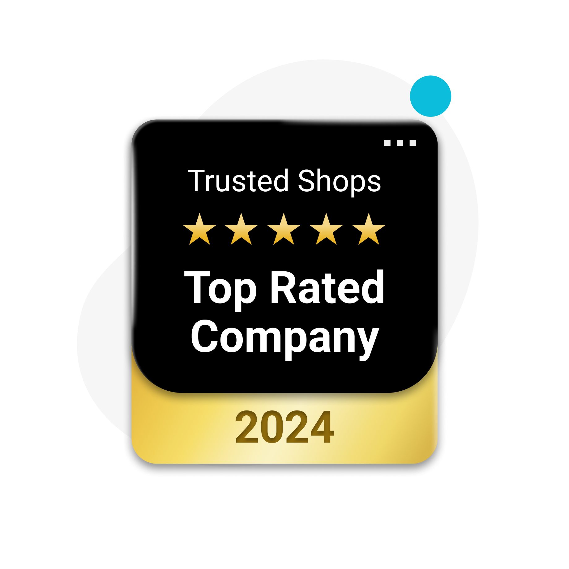top-rated-company-award-2024