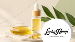 CS-Teaser-Lucky-hemp-250x140
